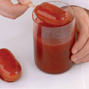 Paleta Classic GEL01  Silikomart