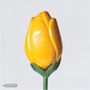 Molde CW 12003 Chocoladevorm tulp