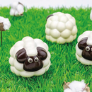 MTO Pack 2pz Fluffy 3d Mould Bpa Free