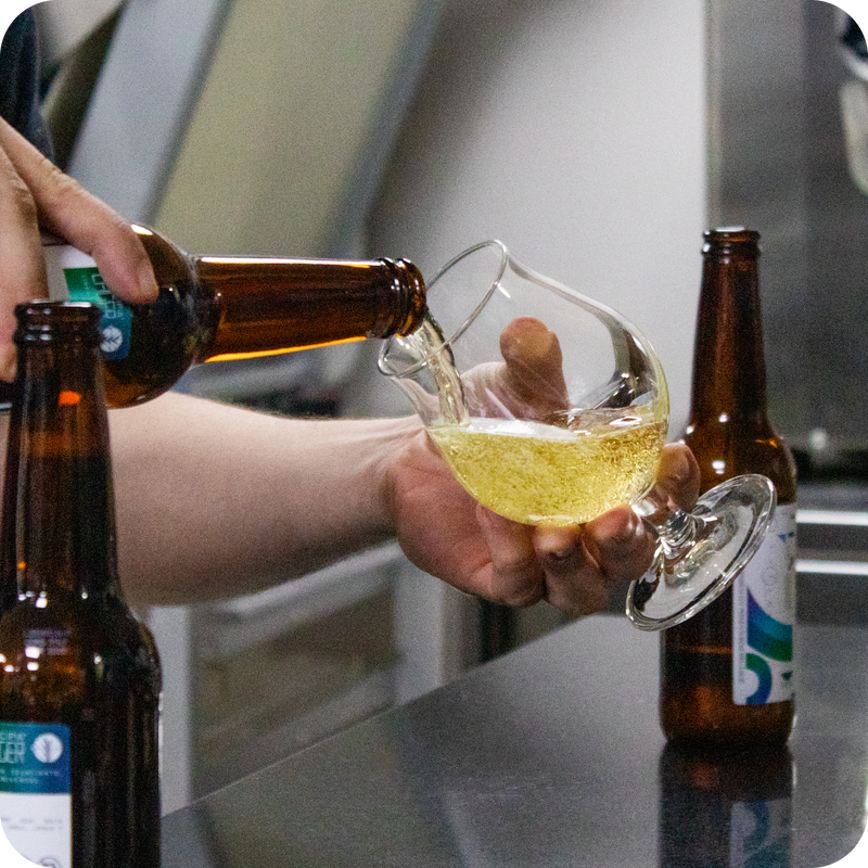 Curso - Burgers & Beer
