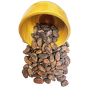 Cacao Fermentado Tabasco 1 kg