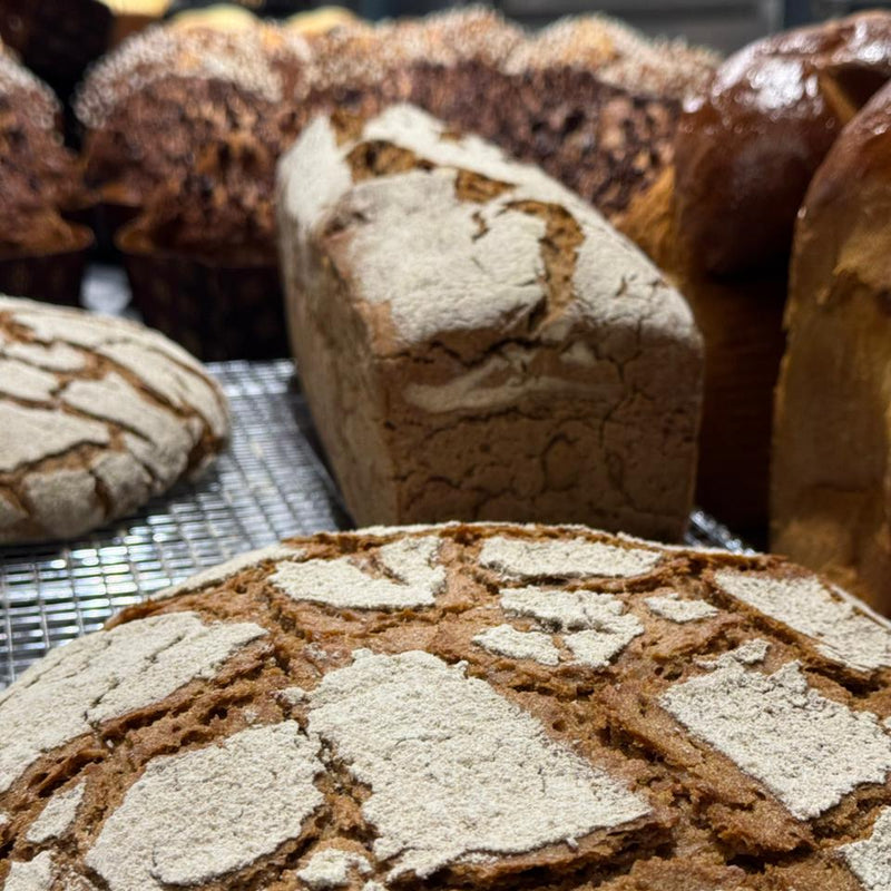 Curso - Masa Madre & Panettone