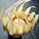 Libro Chocolate Collection