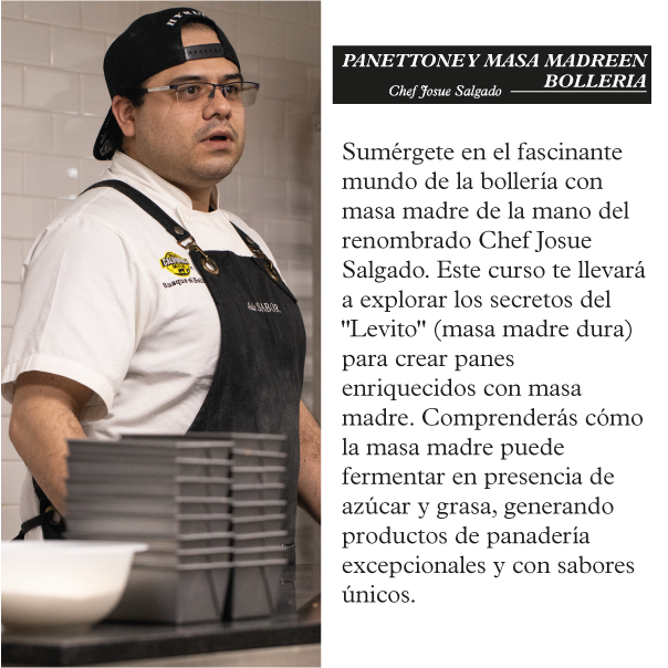 Curso Panettone y Masa Madre en Bolleria  9 y 10 de noviembre