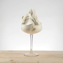 Pregel FP Yoggi 1.5kg