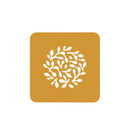 Silikomart Stencil Ramo