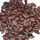 Grano Cacao Fermentado Tostado