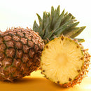 Puratos Fruitfil Piña