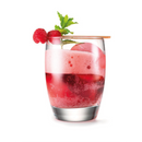 iSi Twist & Sparkle Sistema para Agua Carbonatada 1 L