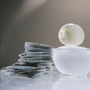 Libro Los Secretos del Helado: Angelo Corvitto