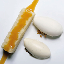 Libro Los Secretos del Helado: Angelo Corvitto