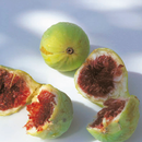 Libro Los Secretos del Helado: Angelo Corvitto