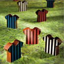 CW 1000L31 Molde Magnético