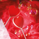 CW 2000L04 Molde Magnético