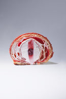 Libro Bachour The Baker (Inglés)