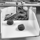 Cubridora Selmi Automatic Truffle