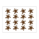 MTO Chablon CHASIL 32 SPOT