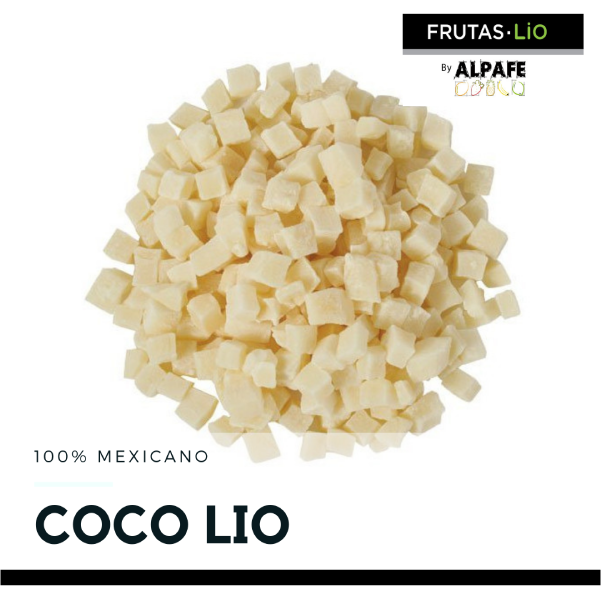 Coco Liofilizado en Cubos 100 gr