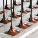 Modelado Selmi Colatore