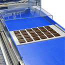 Modelado Selmi Desmoldador automático