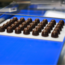 Modelado Selmi Desmoldador automático