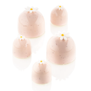 Molde Dome 40  Silikomart