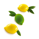 Limone & Lime 120 Silikomart