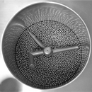 Selmi Refinadora de Bolas Micron 25