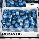 Blue berry (Mora azul) Liofilizada 45 gr.