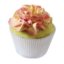 MTO Decorating Piping Tip BX0101