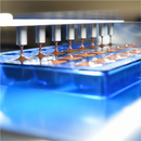 Selmi One Shot Tuttuno 9