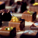 Cubridora Selmi RS200