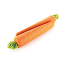 Molde Rome 525 Silikomart