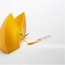 Revista So Good No. 11