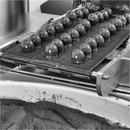 Cubridora Selmi Truffle