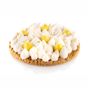 Tarte Ring Round 190 Silikomart