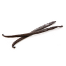 Vaina de Vainilla 15-17 cm