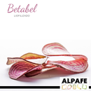 Betabel Liofilizado Entero 45 gr