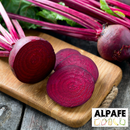 Betabel Liofilizado Entero 45 gr