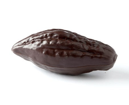 Molde Haba de Cacao Grande