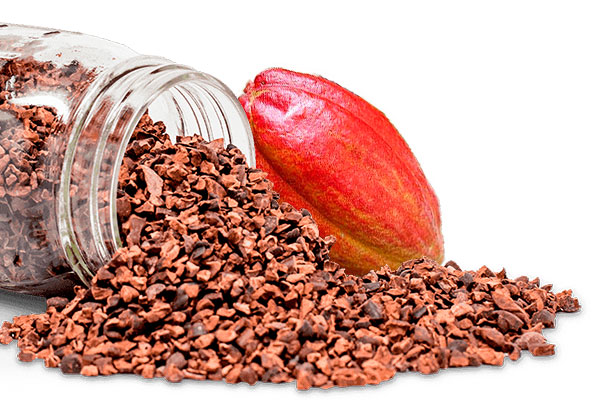 Trozos de Cacao (nibs) NATURAL TOSTADO