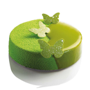 MTO Chablon CHASIL31 BUTTERFLIES