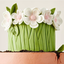 MBC Endurecedor de Fondant