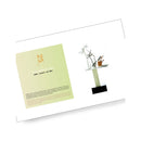 Libro Paco Torreblanca: Colección Piezas de Azúcar