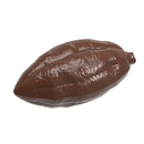 MOLDE CW 1925 GRANO DE CACAO SIN TALLO