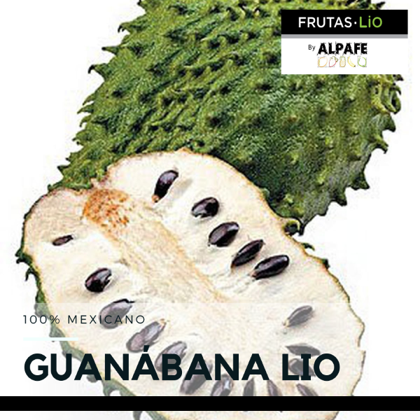 Guanabana Liofilizada Polvo 100 gr