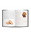 Masas Madre - Sourdough