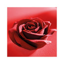 Prisma Frank Haasnoot, So Good.. (Español)