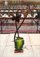 Showpeel® Mini Bugs