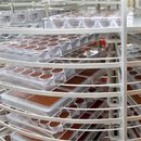 Selmi Spider Túnel Vertical